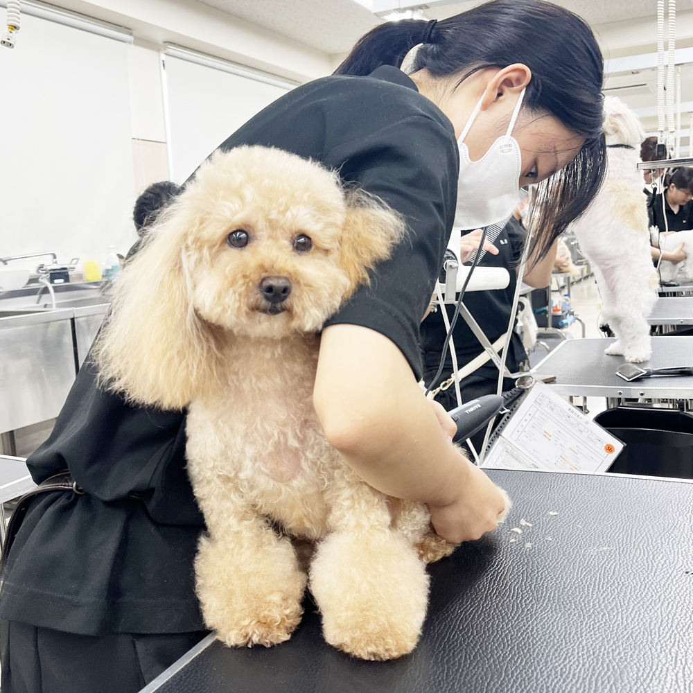 今日もたくさんのお客様！